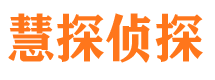 大武口市调查公司